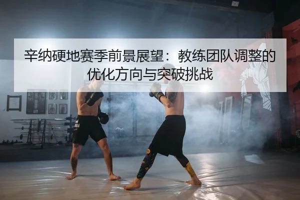 辛纳硬地赛季前景展望：教练团队调整的优化方向与突破挑战